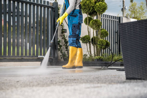 Best Fence Cleaning  in East Chicago, IN